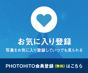 会員登録はこちら