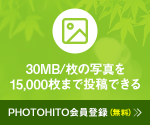 会員登録はこちら